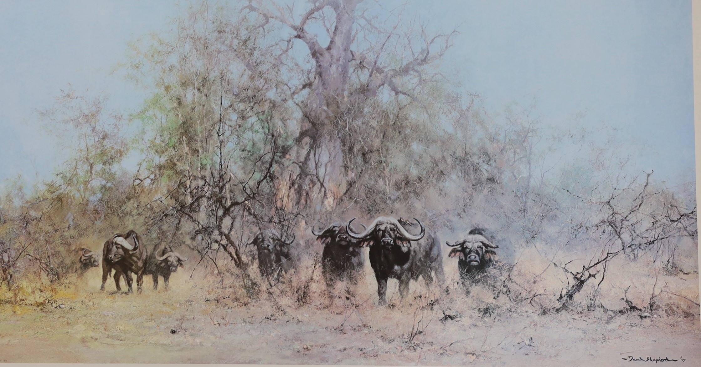 David Shepherd, three limited edition prints, 'Cheetah', 'The Sentinel' and 'In the Thick Stuff', all signed in pencil by the artist, largest 51 x 88cm